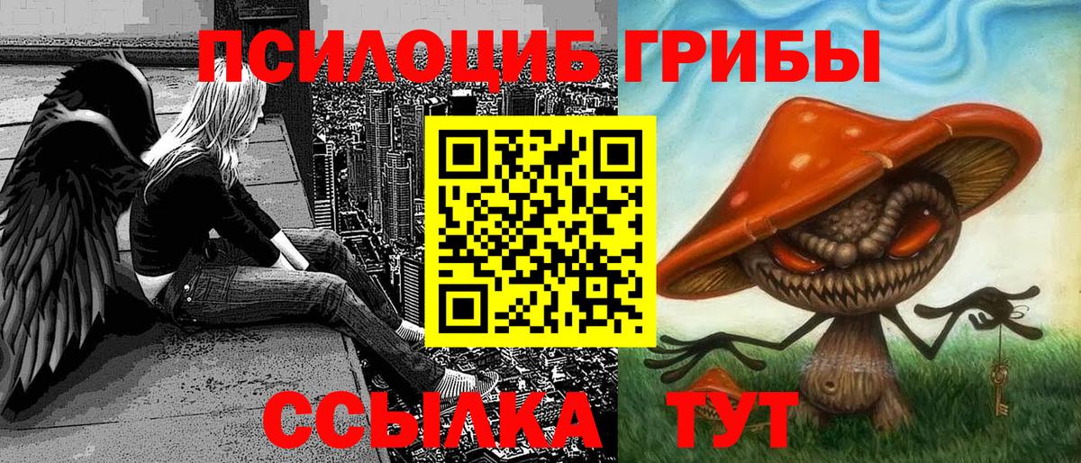 Каменск-Уральский  Галлюциногенные грибы Psilocybine cubensis  Галлюциногенные грибы прущие грибы  Вход с VPN 